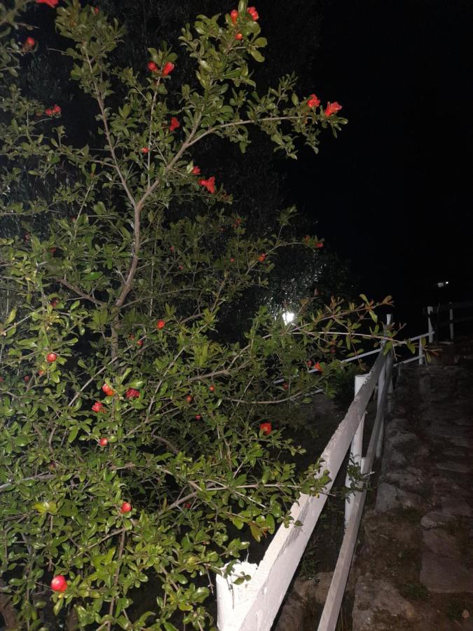 Willa La Casa Al Mare Peschici Zewnętrze zdjęcie